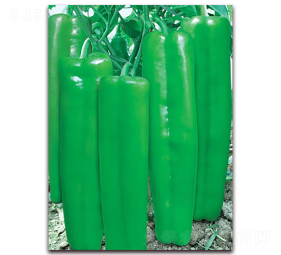 �´��602-�ݽ��N��-(li��n)�S�N�I(y��)