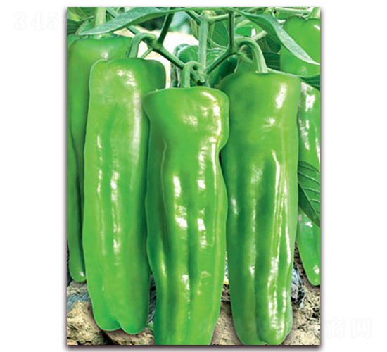 (li��n)�S�r��-�ݽ��N��-(li��n)�S�N�I(y��)