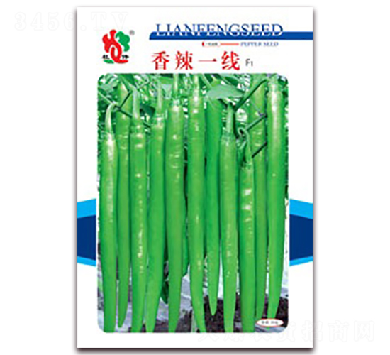 ����һ��-�⽷�N��-(li��n)�S�N�I(y��)