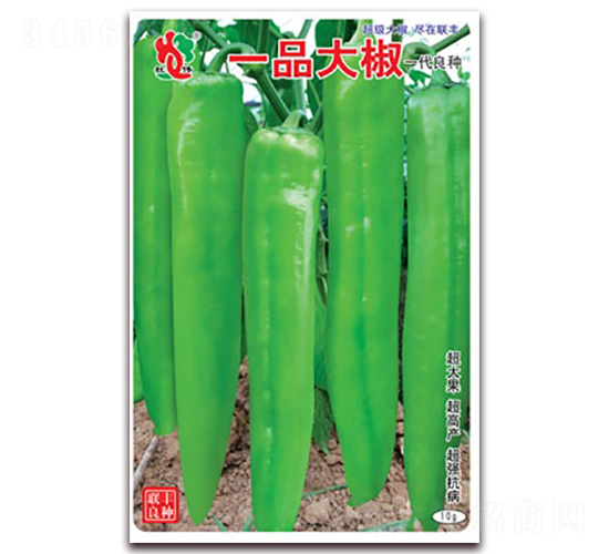 һƷ��-�⽷�N��-(li��n)�S�N�I(y��)