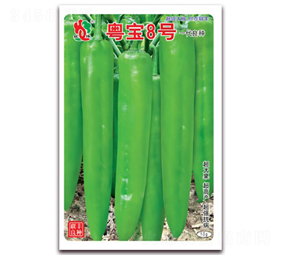 ����8̖(h��o)-�⽷�N��-(li��n)�S�N�I(y��)