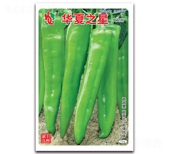 �A��֮��-�⽷�N��-(li��n)�S�N�I(y��)