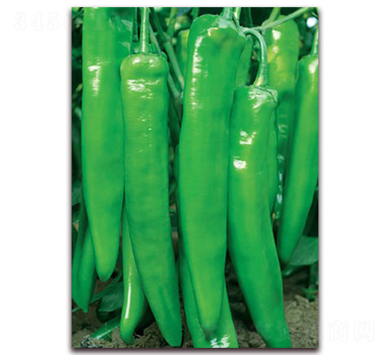 �G��668-�⽷�N��-(li��n)�S�N�I(y��)