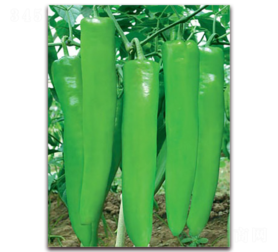 �_(t��i)��һ̖(h��o)-�⽷�N��-(li��n)�S�N�I(y��)