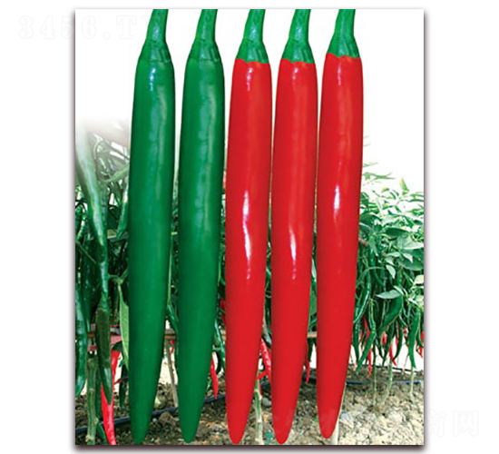 ��(y��u)����-�⽷�N��-(li��n)�S�N�I(y��)