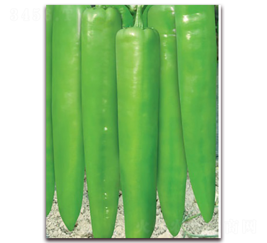 ����999-�⽷�N��-(li��n)�S�N�I(y��)