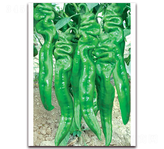 ���S�a(ch��n)����һ̖(h��o)-�ݽz���N��-(li��n)�S�N�I(y��)