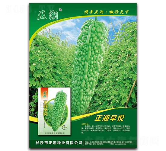 �����琂-��ϷN��-����N�I(y��)