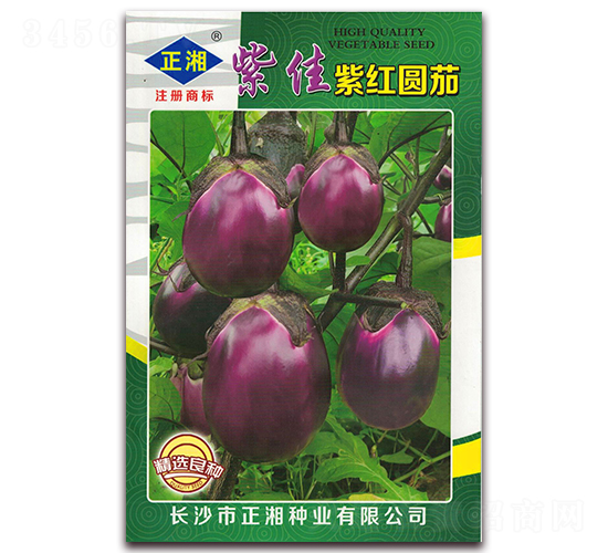 �ϼ��ϼt�A��2020-���ӷN��-����N�I(y��)