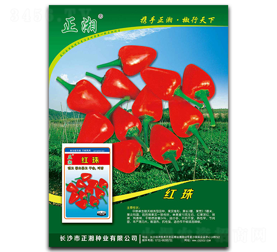 �t��-���콷�N��-����N�I(y��)