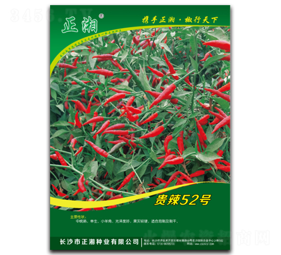 �����F��52̖-���콷�N��-����N�I(y��)