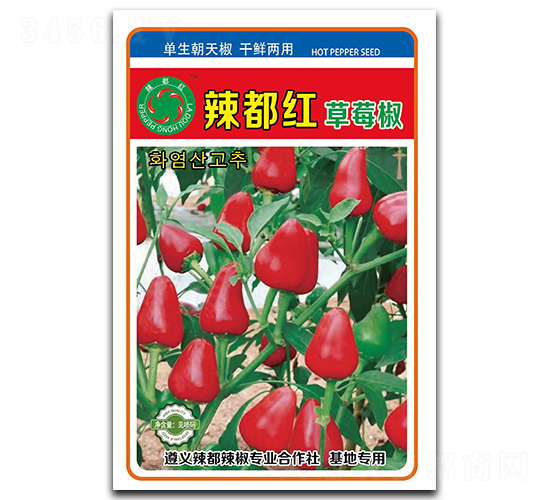 �����t��ݮ��-���콷�N��-����N�I(y��)