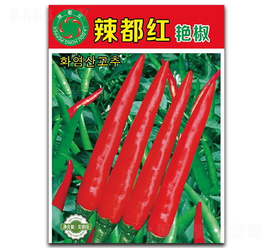 �����t�G��-���콷�N��-����N�I(y��)