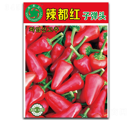 �����t�ӏ��^-���콷�N��-����N�I(y��)