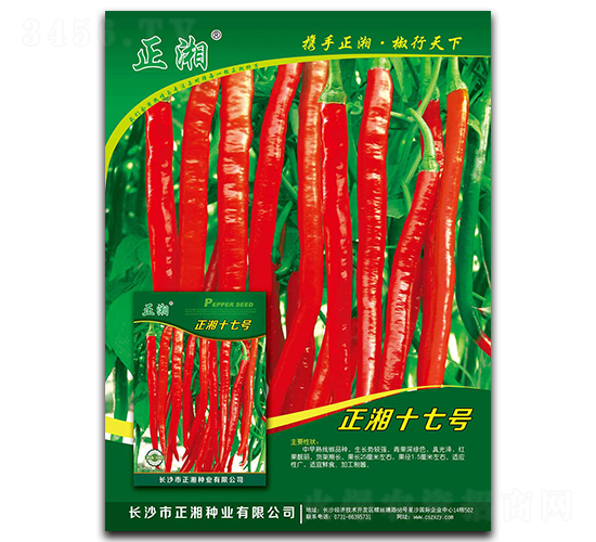 ����ʮ��̖-�����N��-����N�I(y��)