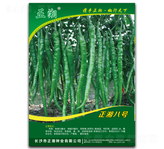 �����̖(h��o)-�����N��-����N�I(y��)