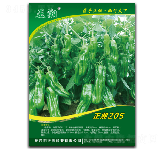 ����205-�����N��-����N�I(y��)