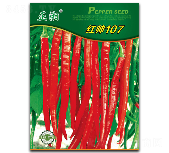 �t��107-�����N��-����N�I(y��)