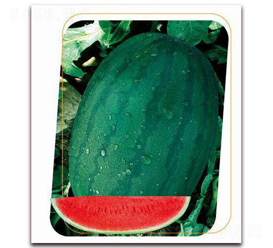 �s��-���ϷN��-����(y��u)�r(n��ng)�I(y��)