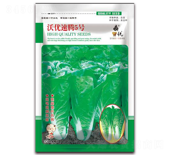 ���v5̖-�~�˷N��-����(y��u)�r(n��ng)�I(y��)