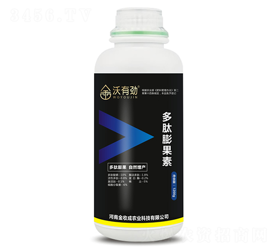 ���������-���Є�-���ճ�