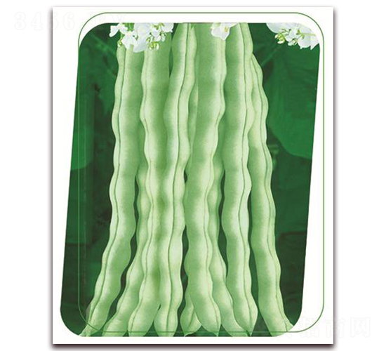 ���|ʮ̖-�����N��-����(y��u)�r(n��ng)�I(y��)