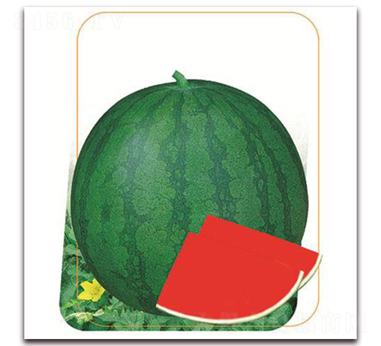 �K��-���ϷN��-����(y��u)�r(n��ng)�I(y��)