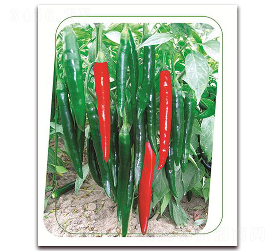 ���s-�����N��-����(y��u)�r�I(y��)