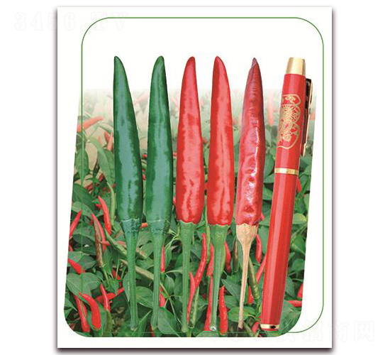 �η�5̖(h��o)-�����N��-����(y��u)�r(n��ng)�I(y��)