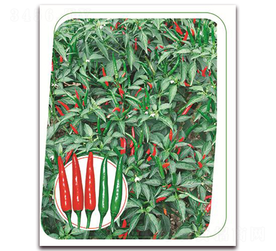 �η�-�����N��-����(y��u)�r(n��ng)�I(y��)