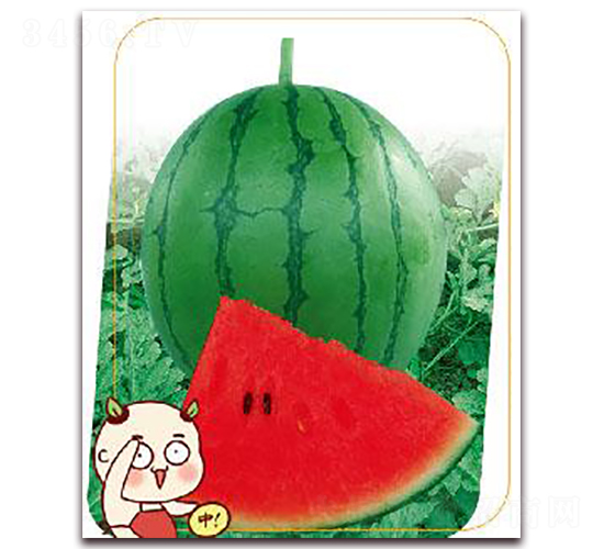 �M��-���ϷN��-����(y��u)�r(n��ng)�I(y��)