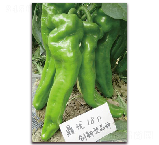 ����(y��u)18-�����N��-����(y��u)�r(n��ng)�I(y��)