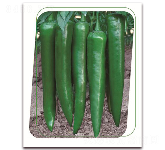 ���F119-�����N��-����(y��u)�r(n��ng)�I(y��)