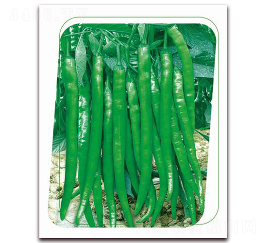 ����22-�����N��-����(y��u)�r�I(y��)