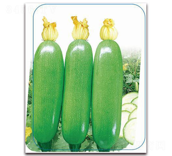 ����35-�����J�N��-����(y��u)�r(n��ng)�I(y��)