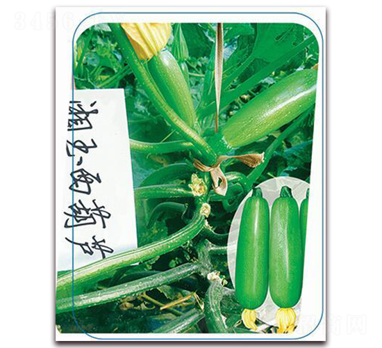 ����-�����J�N��-����(y��u)�r�I(y��)