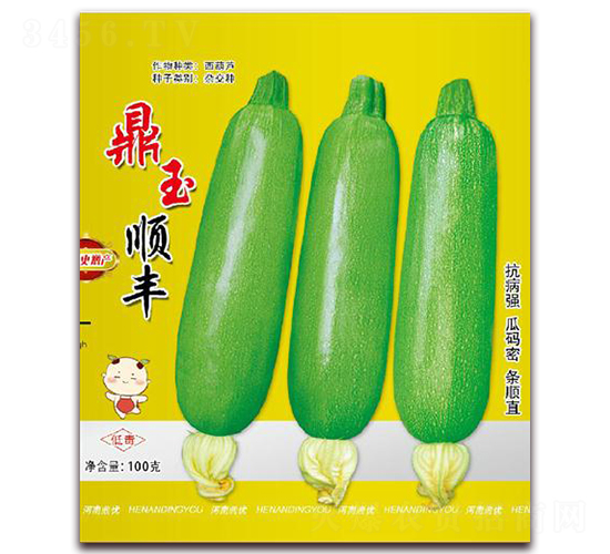 ������S-�����J�N��-����(y��u)�r(n��ng)�I(y��)