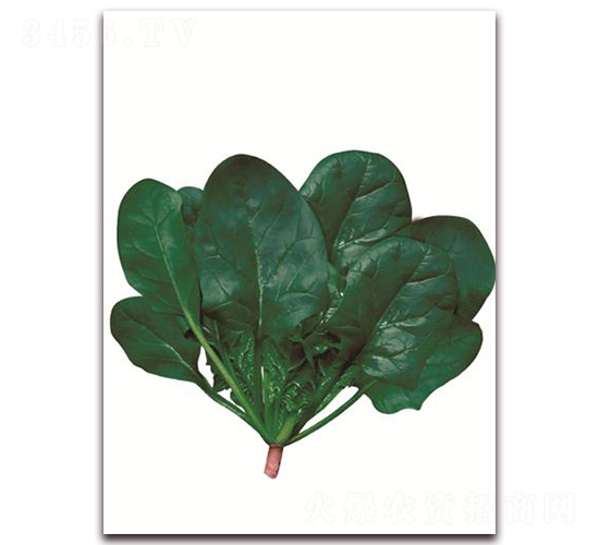 ���-���˷N��-����(y��u)�r(n��ng)�I(y��)