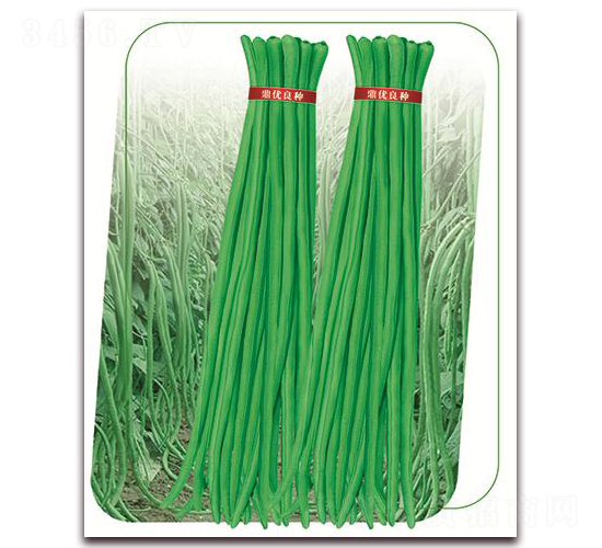 ����3̖(h��o)-�����N��-����(y��u)�r(n��ng)�I(y��)