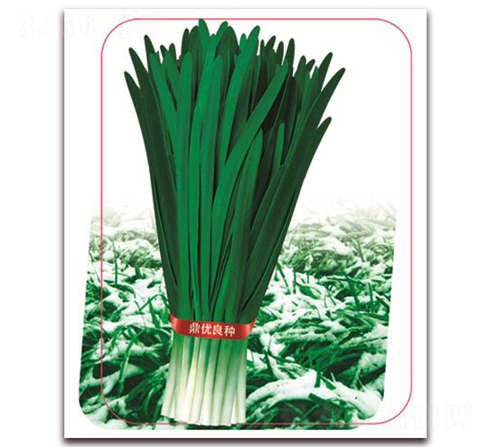 �փ�(y��u)ѩ��һ̖-�~�˷N��-����(y��u)�r(n��ng)�I(y��)