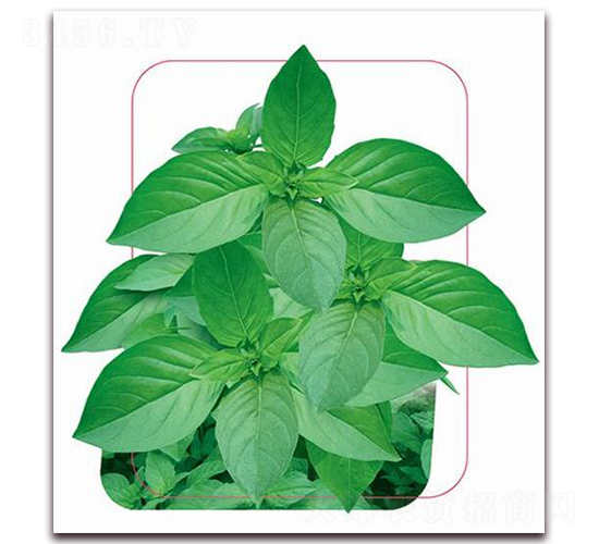 �փ�(y��u)���~�G��-�~�˷N��-����(y��u)�r(n��ng)�I(y��)