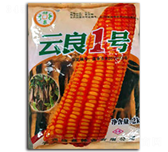 ����1̖-��Ȫ�N�I(y��)