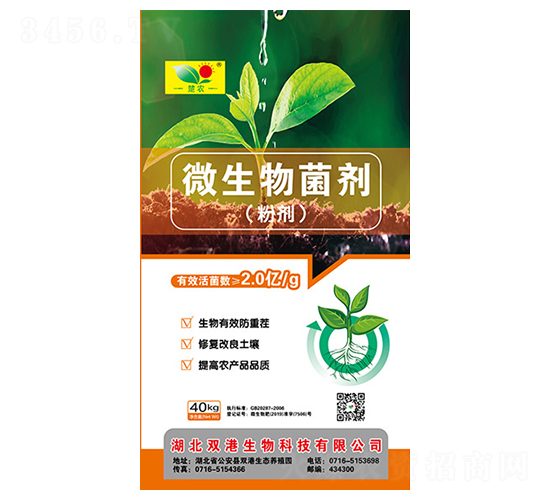 �ۄ�΢�������-�p������