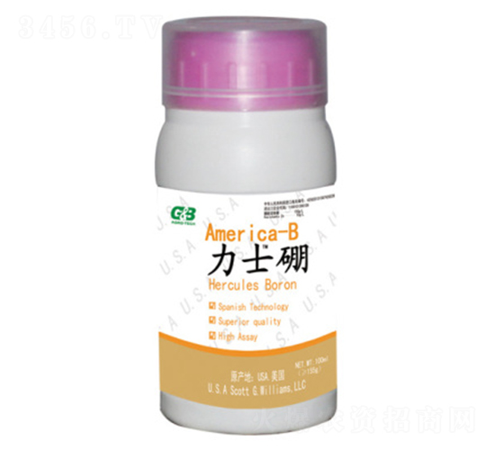 ľ�|(zh��)�Ǵ����w��-��ʿ��-���A��