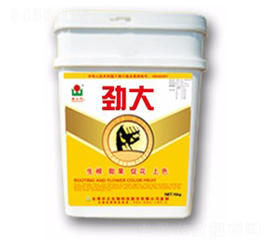 �Ŵ�-���A��