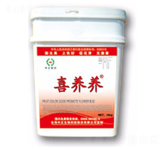 ϲ�B(y��ng)�B(y��ng)-���A��