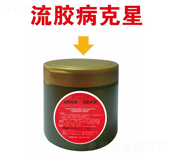 ���z����-�n��ϲ��-���A��