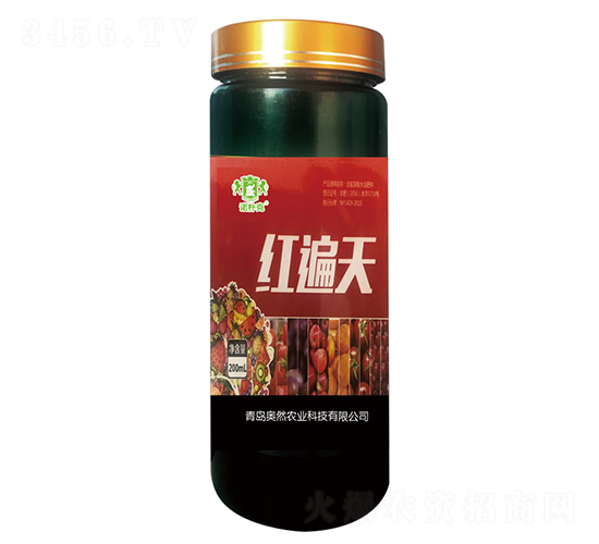 �t����-�Z���-�WȻ�r�I(y��)