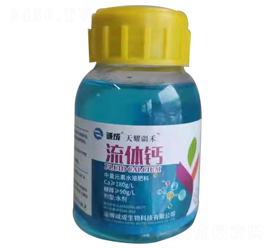 ���w�}-�\��