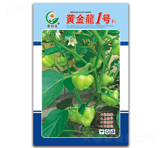 �S����1̖(h��o)-�ཷ�N��-ӳɽ��